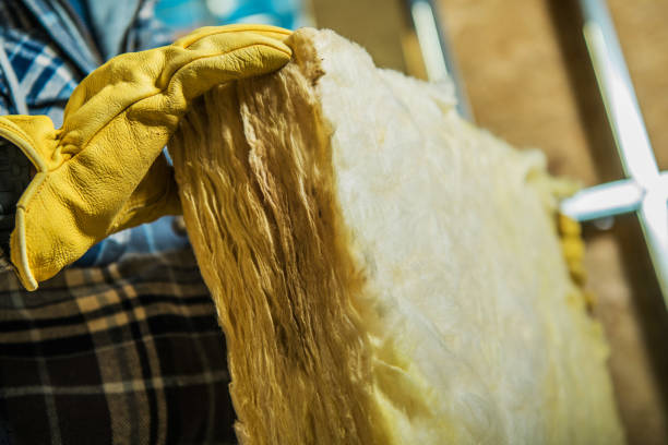 Best Fiberglass Insulation  in Roscoe, TX