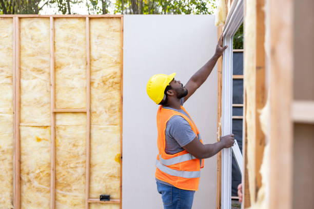 Best Cellulose Insulation  in Roscoe, TX