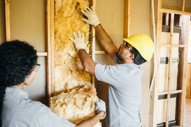 Best Insulation for New Construction  in Roscoe, TX