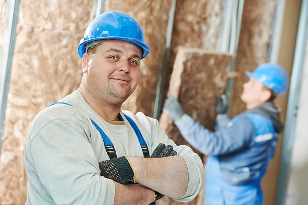 Best Best Insulation Companies  in Roscoe, TX